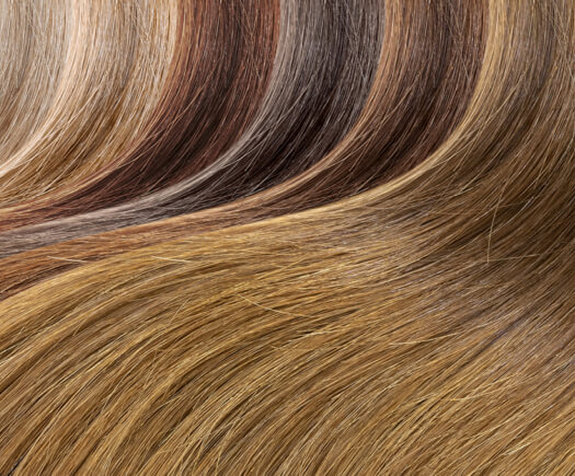 Hair level header