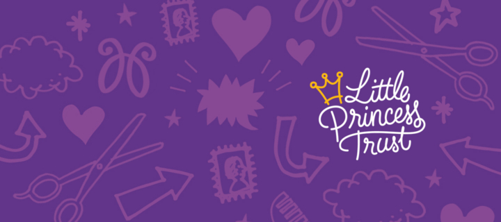 Princess trust hero banner