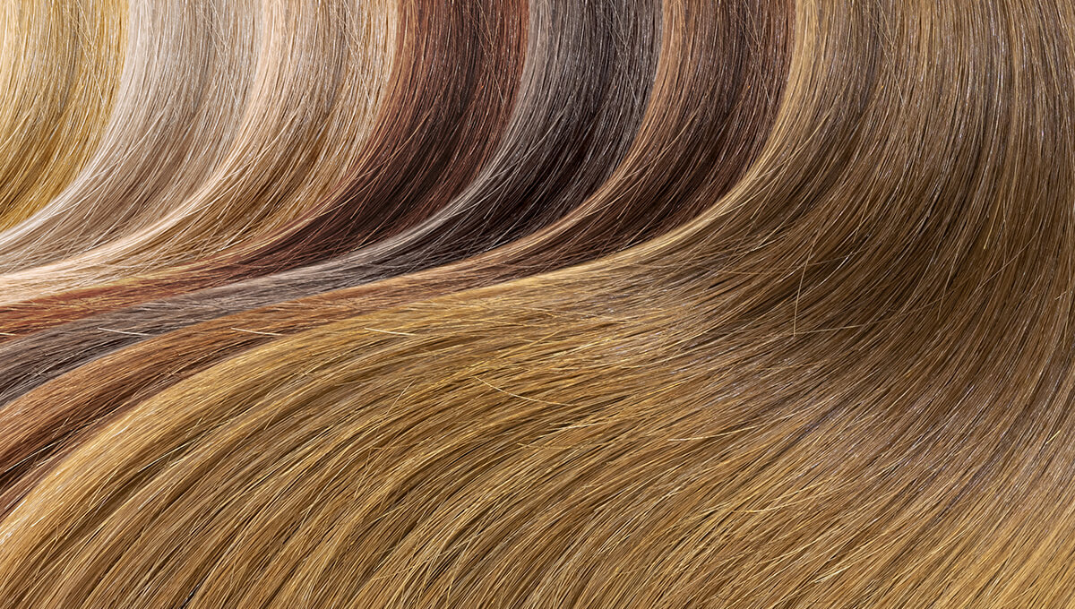 Hair level header